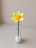 Daffodil