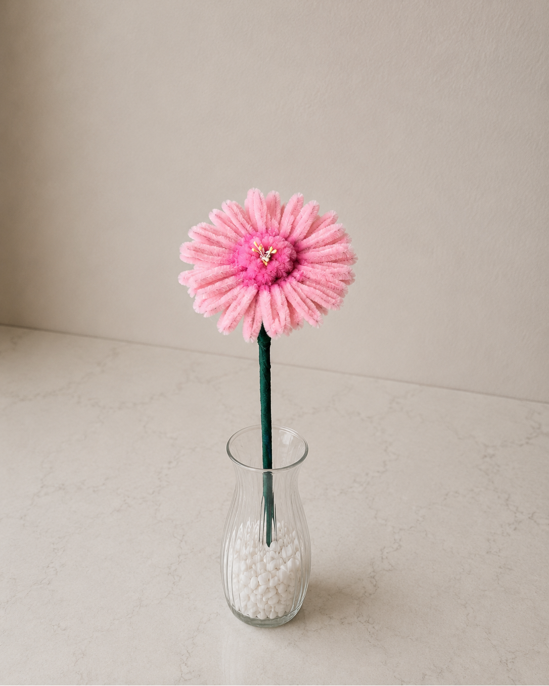 Gerbera Daisy