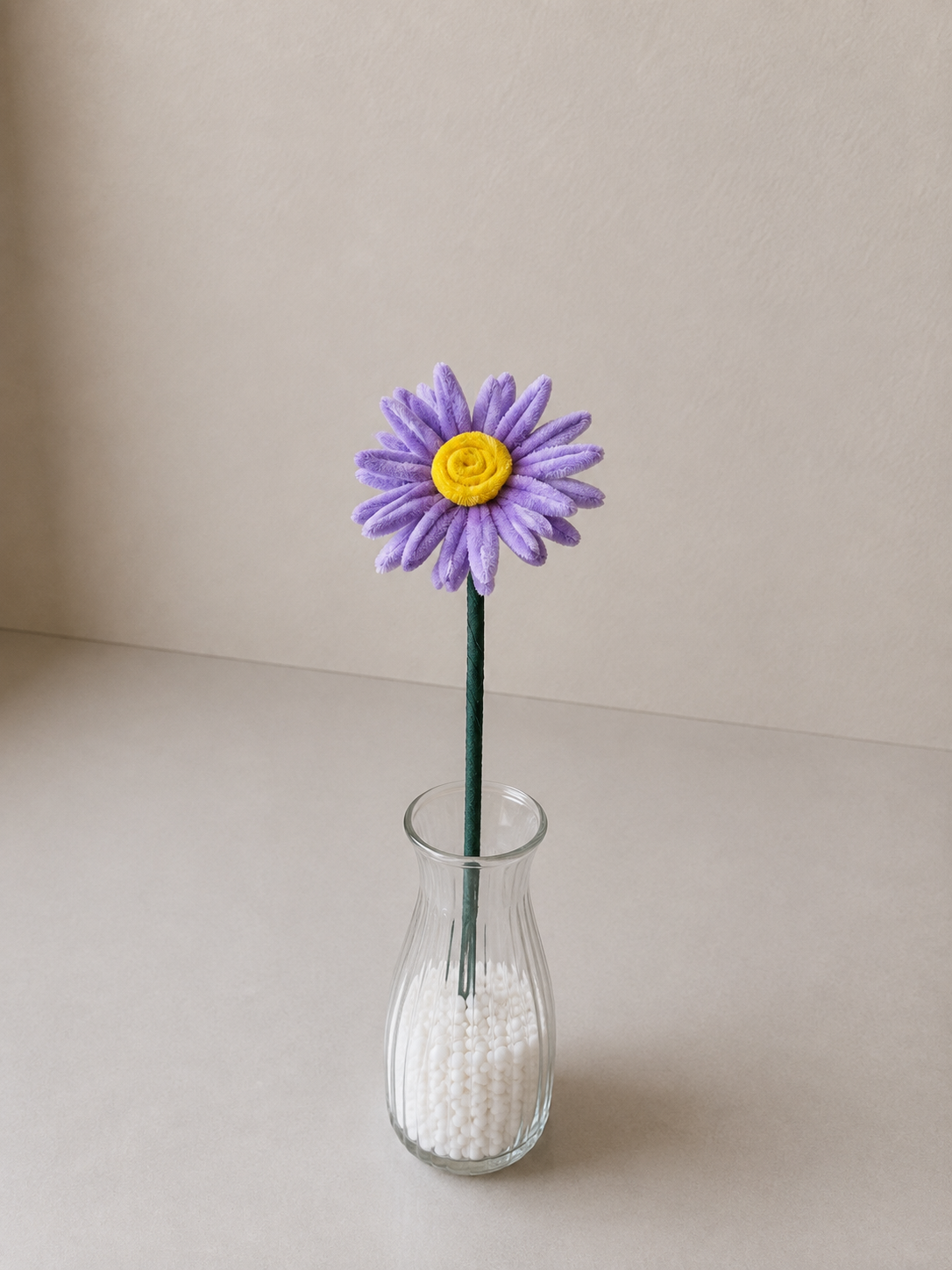Aster - September
