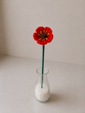 Poppy - August