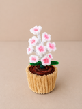 White Cherry Blossom – Mini Flower Pot