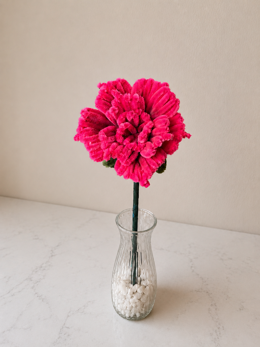 Jumbo Rose