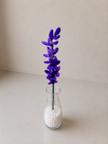 Larkspur - July