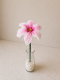 Wavy Lily