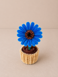 Blue Daisy – Mini Flower Pot