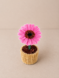 Pink Daisy – Mini Flower Pot