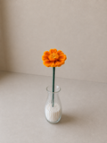 Marigold