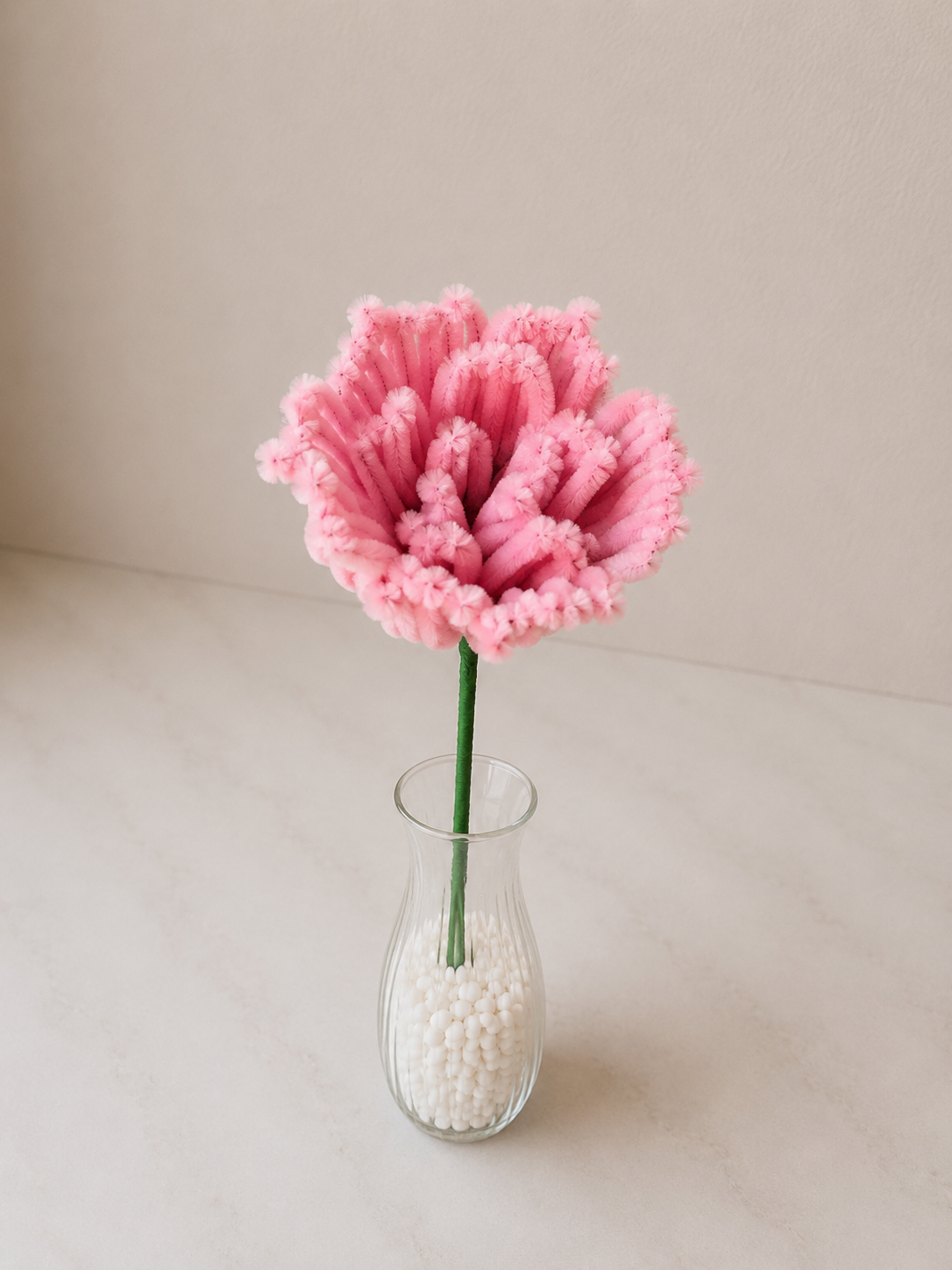 Jumbo Rose