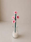 Cherry Blossom